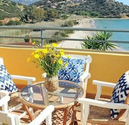 The (adults Only) Hotell